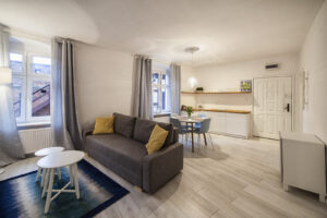 przestronny salon z aneksem kuchennym, kanapa